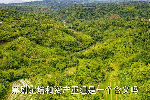 籌劃定增和資產重組是一個含義嗎