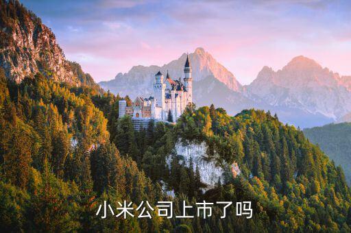 11月5什么手機(jī)上市公司，除了小米還有哪些手機(jī)公司上市了