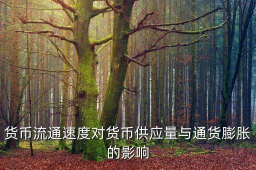 貨幣流通速度受什么影響，貨幣的流通速度和什么有關(guān)系