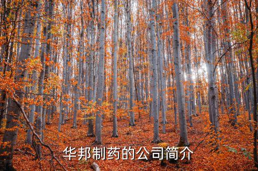 華邦制藥有什么產(chǎn)品，華邦制藥的企業(yè)理念