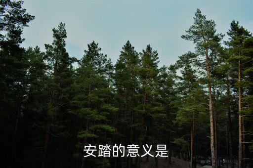 私募應(yīng)安踏在世界上有什么地位，私募在社會(huì)各界人士心目中的地位如何