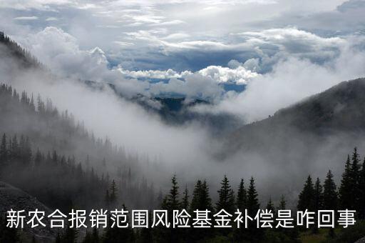 什么是政府風險補償基金，政府風險補償基金屬于哪個企業(yè)會計科目