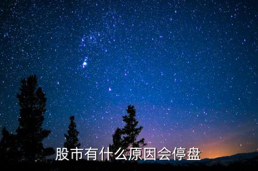 002203為什么停盤，股市有什么原因會停盤