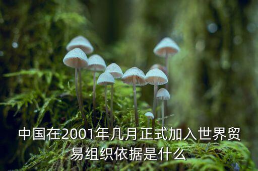 中國(guó)是什么時(shí)候加入gatt，中國(guó)是什么時(shí)間加入的