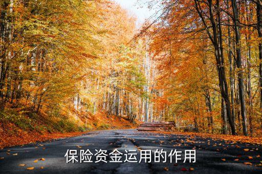 保險(xiǎn)資金運(yùn)用余額什么意思，保險(xiǎn)每年的資金運(yùn)用余額具體是什么
