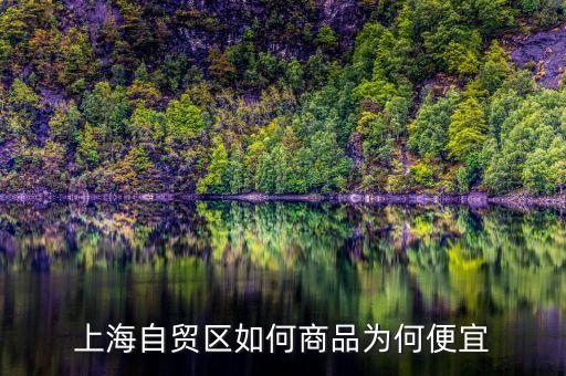 上海自貿(mào)區(qū)買什么便宜，上海購物什么商品比較便宜