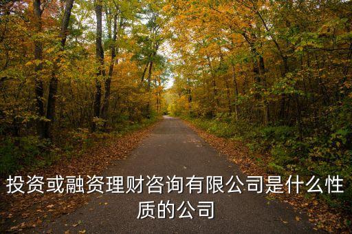 金融理財(cái)有限公司是什么性質(zhì)的，投資或融資理財(cái)咨詢有限公司是什么性質(zhì)的公司