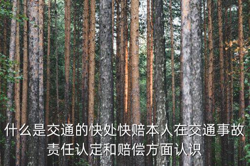 車險(xiǎn)快賠是什么，汽車快賠是什么意思