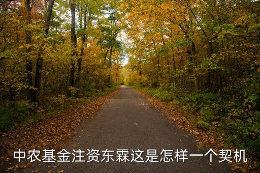 中農(nóng)基金注資東霖這是怎樣一個契機(jī)