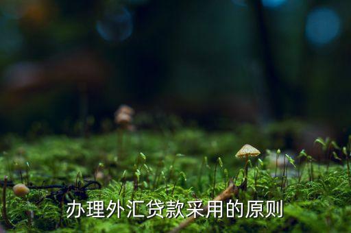 貸款三查指什么，銀行貸款三查不嚴(yán)能使貸款合同無效嗎