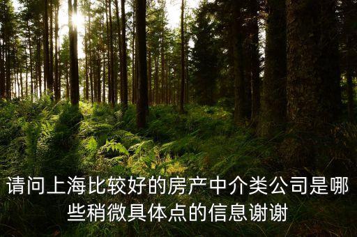 請問上海比較好的房產中介類公司是哪些稍微具體點的信息謝謝