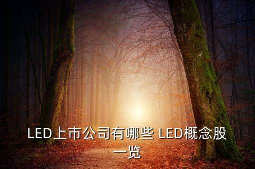 上市公司鴻什么視訊，視訊行業(yè)有哪些公司