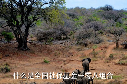 什么是全國(guó)社?；鹨涣惆私M合