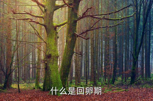 什么是回溯期，什么是回卵期