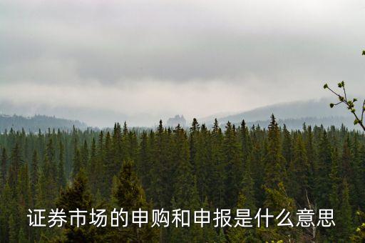 金融行業(yè)中的逐日申報(bào)是什么意思，外貿(mào)中到到銀行申報(bào)是什么意思申報(bào)什么呢哪位高人指點(diǎn)一下謝