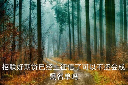 好期貸上征信怕什么，在招聯(lián)好期袋貸上面借錢都有按時歸還會上征信嗎會不會對以