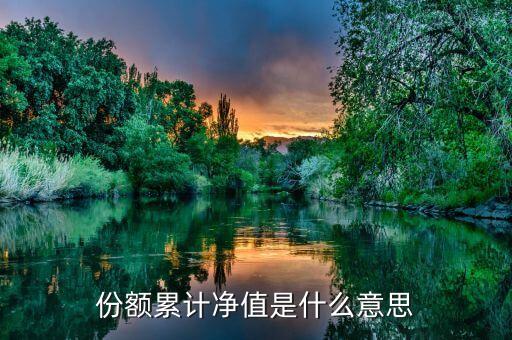 份額凈值是什么意思，基金份額凈值的基本定義