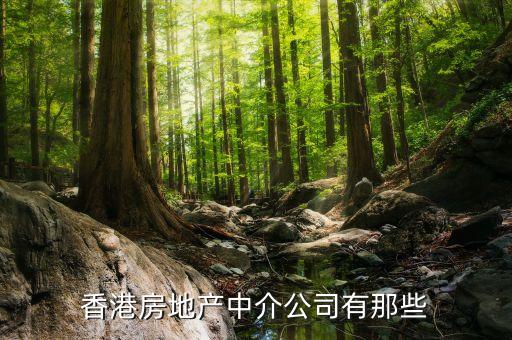 房地產(chǎn)經(jīng)紀在香港叫什么，香港房地產(chǎn)中介公司有那些