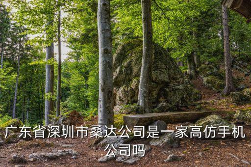 廣東省深圳市桑達公司是什么公司，深圳市桑達是一個地方名稱嗎