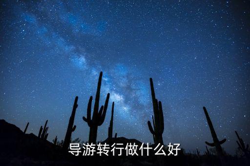 導(dǎo)游轉(zhuǎn)行做什么好，導(dǎo)游轉(zhuǎn)行做什么好