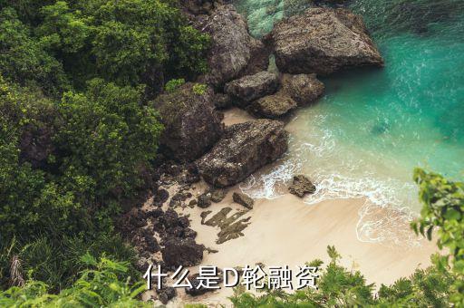 d輪融資是什么意思，什么是D輪融資