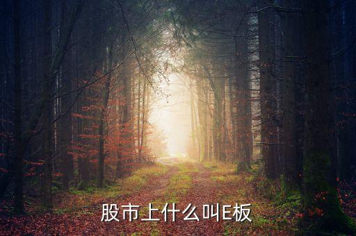 e板股票是什么意思，E板上市是什么意思什么是E板