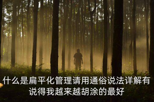 用什么先河，什么是扁平化管理請用通俗說法詳解有說得我越來越胡涂的最好