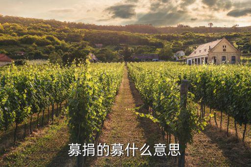 什么是募資，什么是融資 什么是募資  兩者的區(qū)別是什么