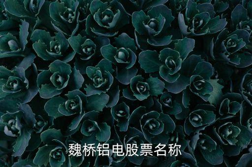 宏橋跟魏橋什么關(guān)系，宏橋中學(xué)怎么退學(xué)費