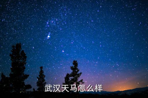 002276公司是做什么的呢，萬馬股份是做什么的