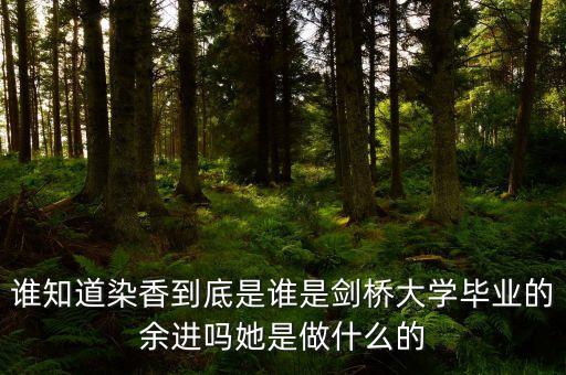 麥肯錫合伙人是什么，誰(shuí)知道染香到底是誰(shuí)是劍橋大學(xué)畢業(yè)的余進(jìn)嗎她是做什么的
