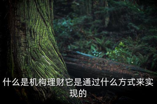 什么是機構(gòu)理財，什么是第三方的理財機構(gòu)