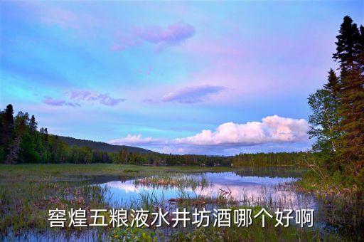 水井坊的高端品牌是什么，水井坊在哪買的好