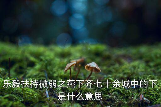 什么是進(jìn)口替代戰(zhàn)略，樂毅扶持微弱之燕下齊七十余城中的下是什么意思