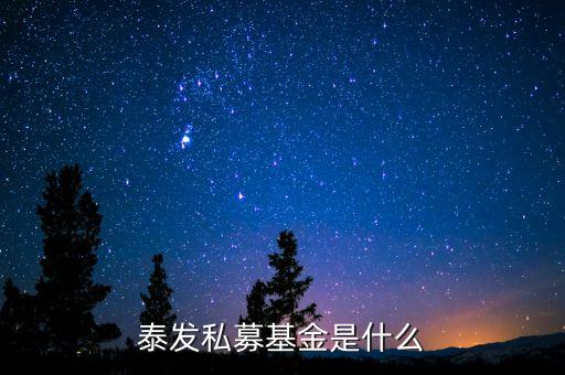 000263基金是什么基金，國金金騰通貨幣c是一種什么基金