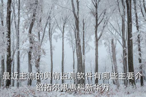 拓爾思和天璣科技主要做什么，天璣股票計劃是哪個公司推出的是做什么的