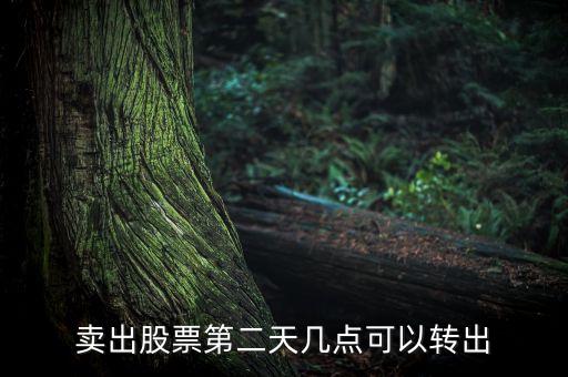 股票賣了錢什么時(shí)候可以轉(zhuǎn)出，股票成功賣出后多長(zhǎng)時(shí)間可以從帳戶轉(zhuǎn)出資金