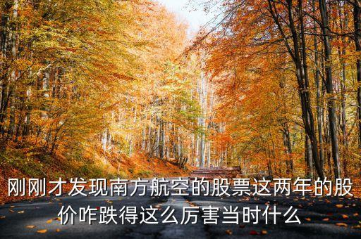 南航美股是什么意識，海南航空股票前帶lr300什么意思