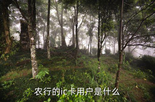農行ic卡是什么，農行的ic卡用戶是什么