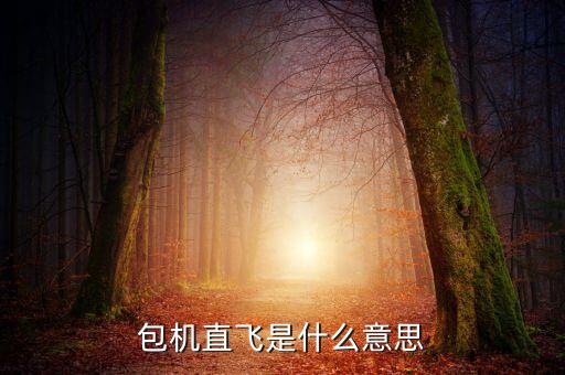 什么是包機航班，包機直飛是什么意思
