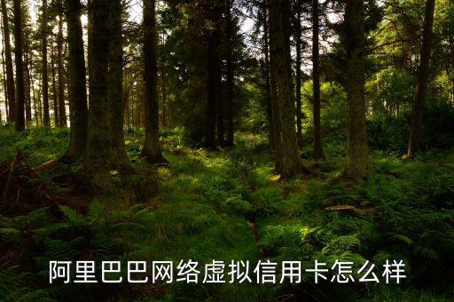 馬云虛擬信用卡是什么，阿里巴巴要推出虛擬信用卡你如何選擇