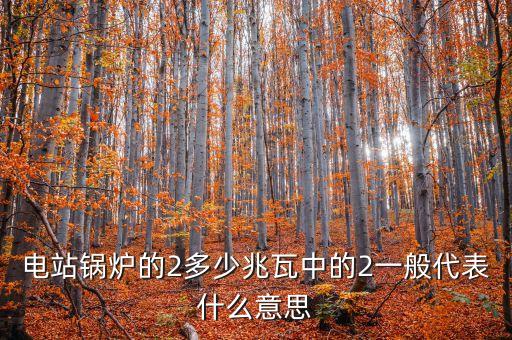 電站兆瓦什么意思，兆瓦是哪一個(gè)物理量的單位發(fā)電能力達(dá)45兆瓦說(shuō)明什么意思