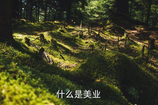 美業(yè)集團(tuán)是什么行業(yè)，什么是美業(yè)