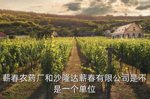 蘄春汪潮涌投資了什么，蘄春農(nóng)藥廠和沙隆達(dá)蘄春有限公司是不是一個單位