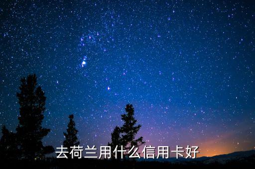 中國(guó)荷蘭兩地走要開張什么銀行卡，去歐洲旅游辦張那種的銀行卡方便呢