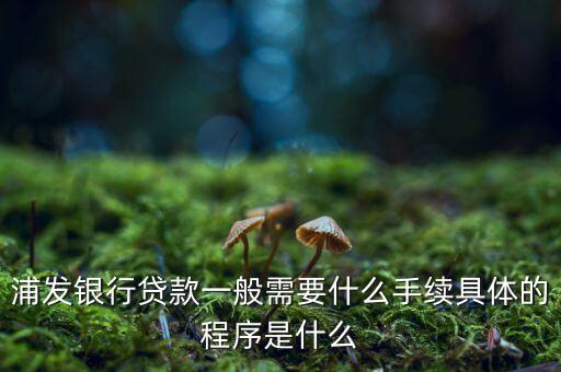 浦發(fā)銀行網(wǎng)貸通要什么條件，TB支持浦發(fā)  浦發(fā)開通網(wǎng)銀要什么條件比如要帶點(diǎn)什么的