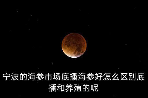 什么是底播海參，底播海參和非底播海參有什么區(qū)別