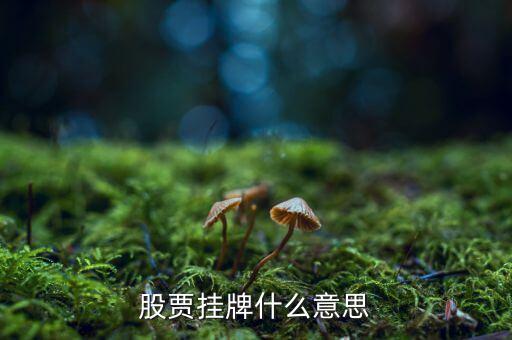 股票掛牌是什么意思，股市里的掛牌是什么意思舉牌和摘牌又是什么意思