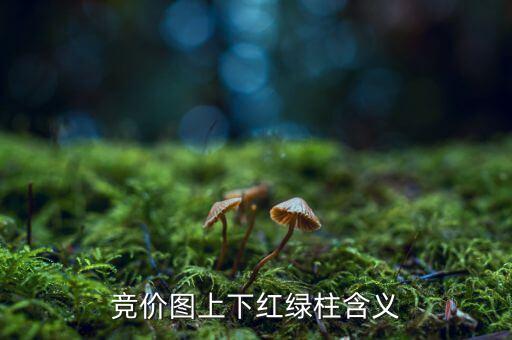 股票競(jìng)價(jià)圖是什么意思，股票競(jìng)價(jià)圖怎么看