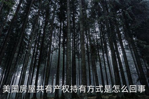 什么是共有產(chǎn)權(quán)產(chǎn)權(quán)模式，美國房屋共有產(chǎn)權(quán)持有方式是怎么回事
